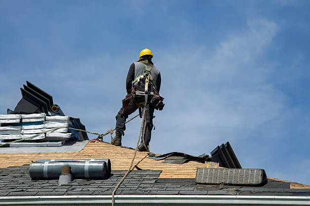 Professional Roofing technician working in International Falls, MN